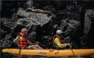 Galapagos Activities: Kayaking