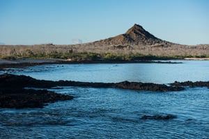 South Expedition (D) Galapagos Legend: Dragon Hill
