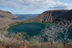 West Expedition (B) Galapagos Legend: Tagus Cove