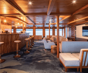 Social Areas in the Galapagos Legend: Charles Darwin Lounge