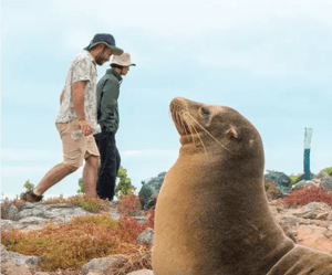Galapagos Activities in the Corals Yachts: Hiking