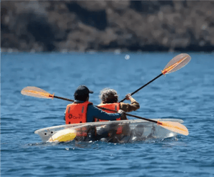 Galapagos Activities in the Corals Yachts: Kayaking