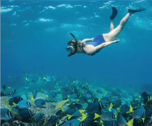Galapagos Activities in the Corals Yachts: Snorkeling