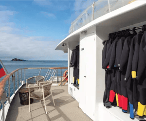 Services in the Coral Yachts: Wetsuit
