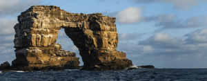 Banner_Darwin_Arch