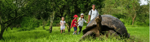 Galapagos Family-Cruise-Santa Cruz Island