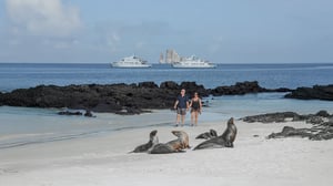 Travelers walking near sea lions on a Galapagos beach with Coral Yachts cruise ships in the background