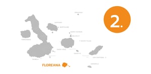 Floreana Island@2x