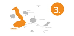 Isabela Island@2x