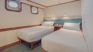 Coral II - Standard Plus