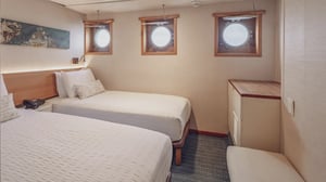 Standard Plus Cabin - Galapagos Legend