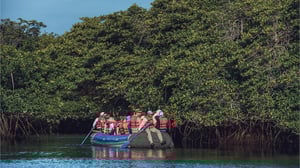 Dinghy rides activity in the Galapagos Islands