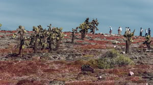 South Plaza Hiking - Go Galapagos