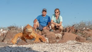 Two travelers sitting on rocky terrain observing a land iguana in the Galapagos.