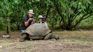 Travelers photographing a giant Galapagos tortoise during a guided island excursion