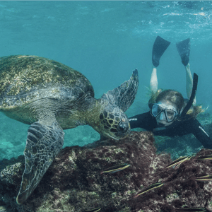 Snorkeling con tortuga en Galápagos - Actividades en Galápagos