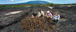 Espinoza Point IN GALAPAGOS ISLAND volcanic island with tourist seeing the lava cactus