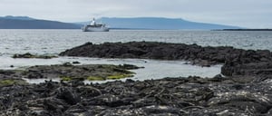Espinoza Point IN GALAPAGOS ISLAND volcanic island view of the Galapagos Legend with marine iguanas