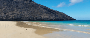 Cormorant Point - Floreana in the Galapagos, view of the beach