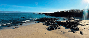 Visitor Sites: Punta Cormorant / Champions Islet - Floreana Island