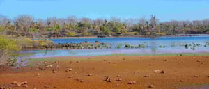 Genovesa Island view