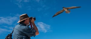 Tourist photographing a red-footed booby on the Genovesa island Galápagos