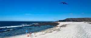 Visitor Sites: Shore of Mosquera Islet