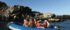 San Cristobal - Punta Pitt & Isle Visitor Sites: Traveleres watching the birds