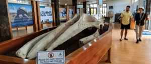 Charles Darwin Research Station - Santa Cruz Island