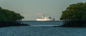 Black Turtle Cove - Santa Cruz Island Visitor Sites: Galapagos Legend cruise at Black Turtle Cove