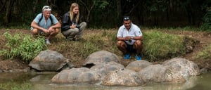 Highlands Tortoise Reserve - Santa Cruz Island