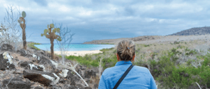 Santa Fe Island´s beach landscape