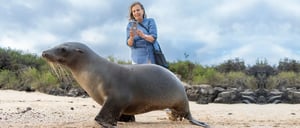 Santa Fe in Galapagos Island with Tourist looking a sea lion on the beach