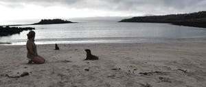 Santa Fe in Galapagos Island with Tourist looking a sea lion on the beach