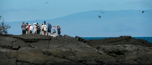 Egas Port in Santiago Island wit rocky beach and tourist