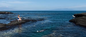 Egas port-Santiago Island