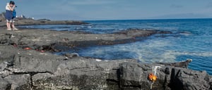 Egas port with rocky terrain and sea lion with tourist