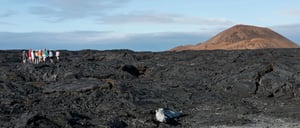 Sullivan bay in Santiago Island, view of the volcano
