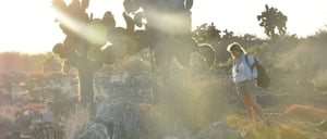 South Plaza in the Galapagos Islands landscape view of the local vegetation in a sunny day