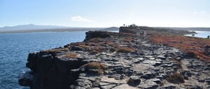 South Plaza in the Galapagos island landscape view