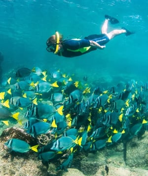 Coral Yachts Itinerary East & South Expedition: Ultimate Snorkel Spot