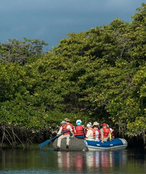 Corals Yachts Itinerary North & West Expedition: Turtle haven