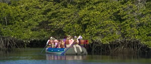 Galapagos Islands: Travelers doing the dinghy ride activity