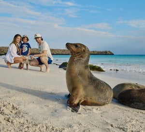 Coral Yachts Itinerary North & West Expedition: A seamlionand a family at the Galapagos Islands