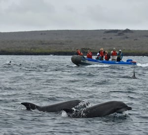 Coral Yachts Itinerary South Expedition: Dinghy ride