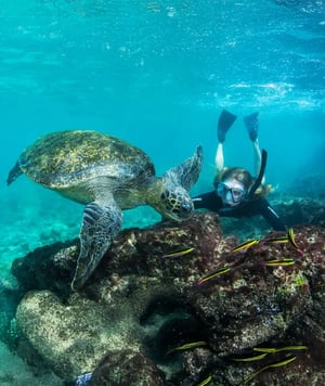 Corals Yachts Itinerary North & West Expedition: Snorkeling at Punta Vicente Roca