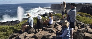 Groups of travelers observing the landscape and taking photos in Punta Suarez
