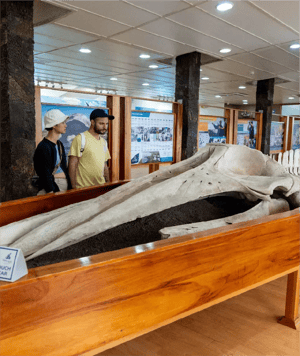 Galapagos Legend Itinerary North & West Expedition: Galapagos wildlife lab