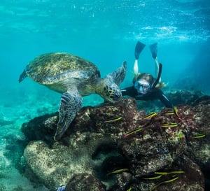 Galapagos Legend Itinerary South & North Expedition: Snorkeling