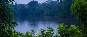 La Selva Lodge: View of a lake